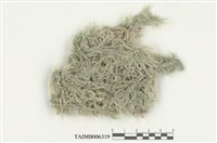 藏品(泥炭苔)的圖片